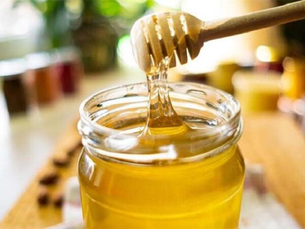 Konsumsi Madu biar lebih produktif