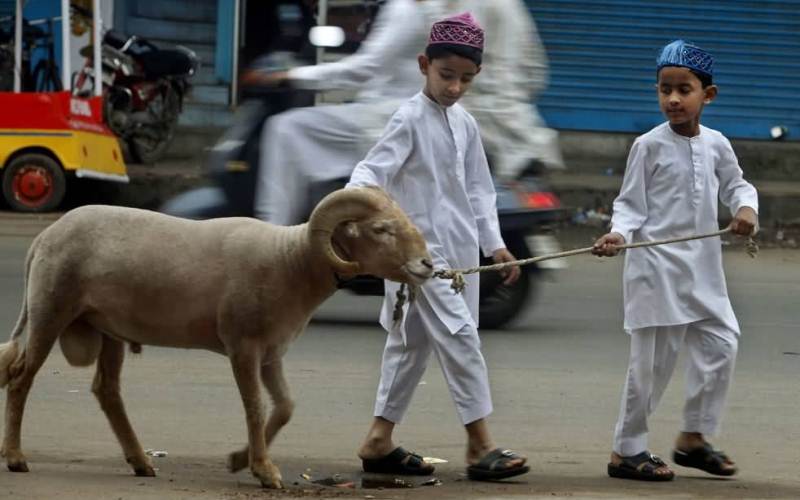 Sembelihan Hewan Qurban. (foto: ist/*)