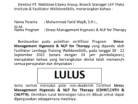 Stress Management Hypnosis & NLP for Therapy Program